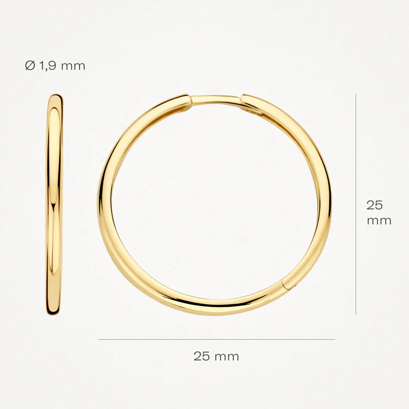 14k BLUSH Classic Hoop Earrings - Image 4